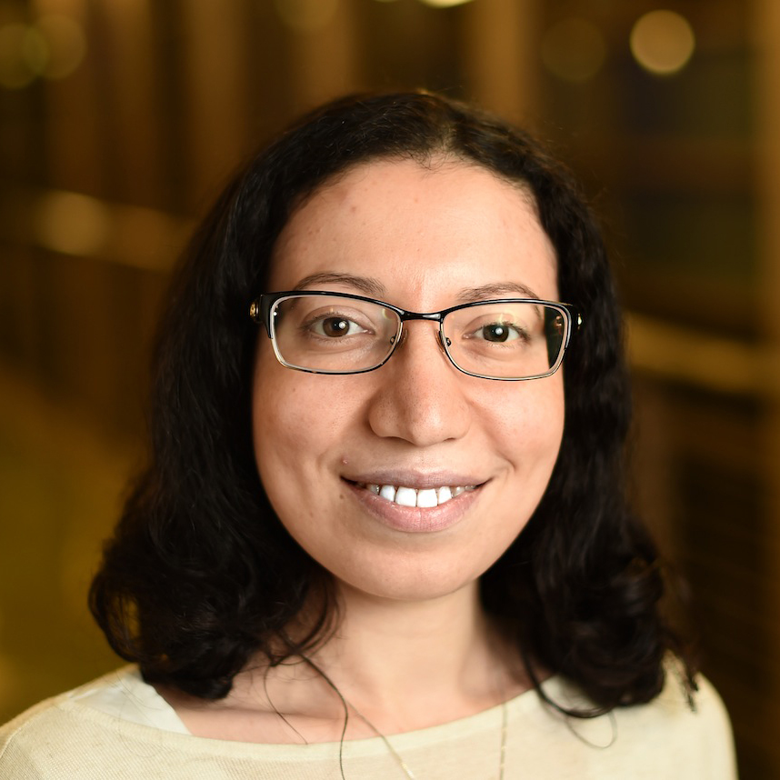 Dr. Nesreen Ahmed